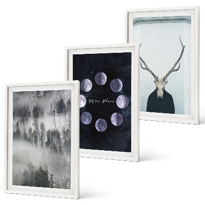 Set of 3 framed wall art pieces Forest landscape fog moon deer skull