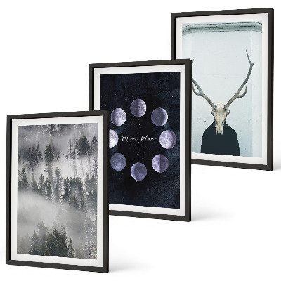 Set of 3 framed wall art pieces Forest landscape fog moon deer skull