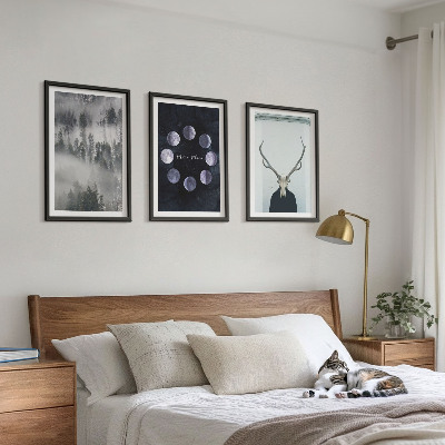 Set of 3 framed wall art pieces Forest landscape fog moon deer skull