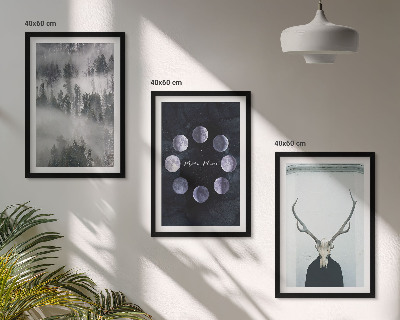 Set of 3 framed wall art pieces Forest landscape fog moon deer skull