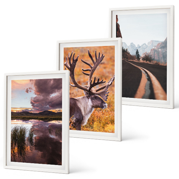Set of 3 framed wall art pieces Mountain landscapes with reindeer