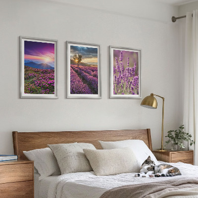Three-piece wall art piece Lavender fields sunset