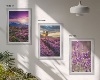 Three-piece wall art piece Lavender fields sunset