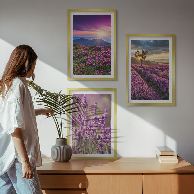 Three-piece wall art piece Lavender fields sunset