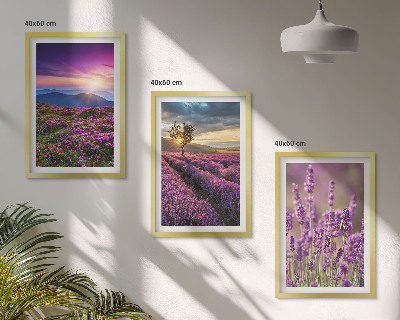 Three-piece wall art piece Lavender fields sunset