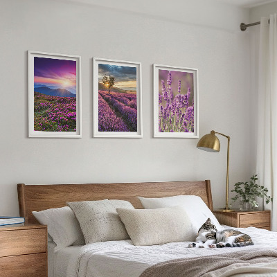 Three-piece wall art piece Lavender fields sunset