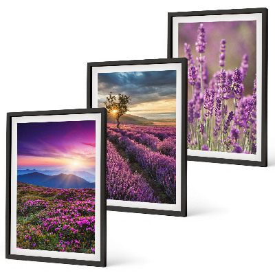 Three-piece wall art piece Lavender fields sunset