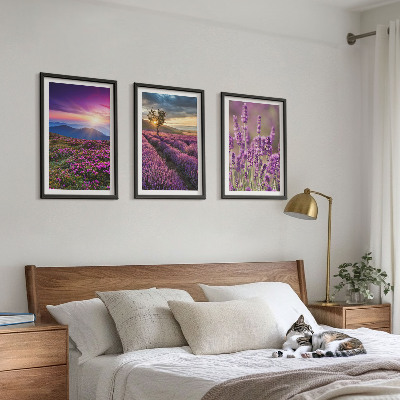 Three-piece wall art piece Lavender fields sunset