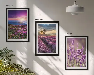 Lavender fields sunset wall art three-piece set