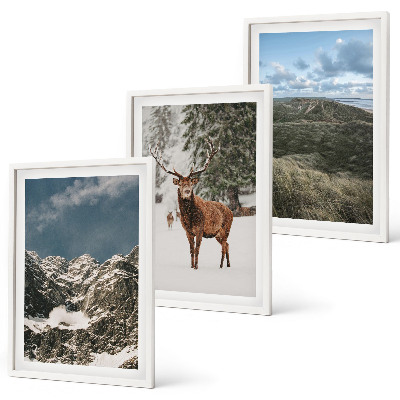 Set of 3 framed wall art pieces Mountains snow deer forest landscape