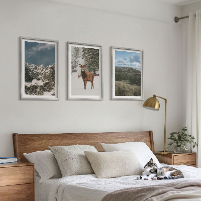 Set of 3 framed wall art pieces Mountains snow deer forest landscape