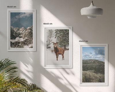 Set of 3 framed wall art pieces Mountains snow deer forest landscape