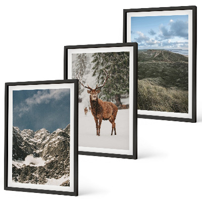 Set of 3 framed wall art pieces Mountains snow deer forest landscape