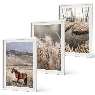 Wall art set Horses landscape grass stream