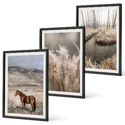 Wall art set Horses landscape grass stream