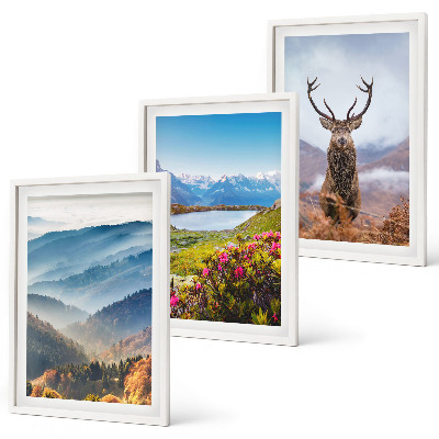 Set of 3 framed wall art pieces Mountain lake deer nature