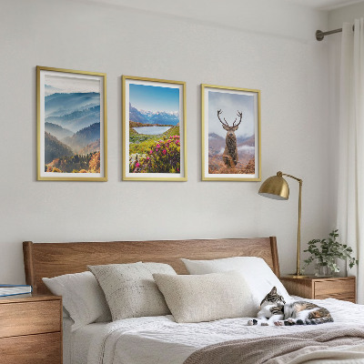 Set of 3 framed wall art pieces Mountain lake deer nature