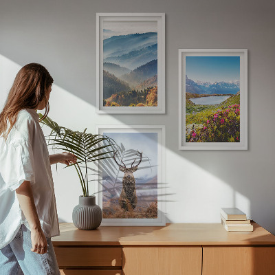 Set of 3 framed wall art pieces Mountain lake deer nature