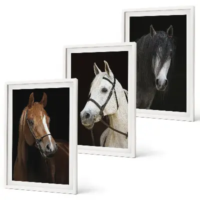 Three-piece horse portrait wall art in shades of fur