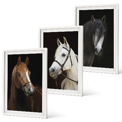 Three-piece wall art piece Portraits of horses in shades of fur