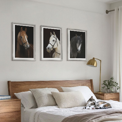 Three-piece wall art piece Portraits of horses in shades of fur