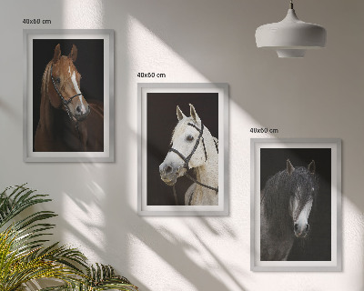 Three-piece wall art piece Portraits of horses in shades of fur