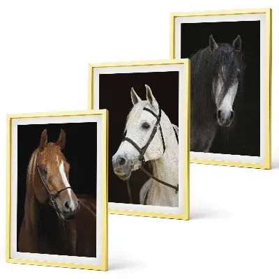 Three-piece horse portrait wall art in shades of fur