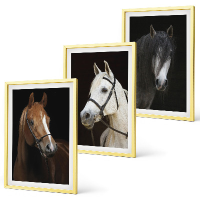 Three-piece wall art piece Portraits of horses in shades of fur