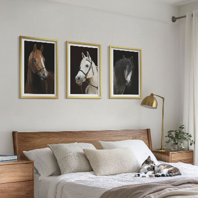 Three-piece wall art piece Portraits of horses in shades of fur