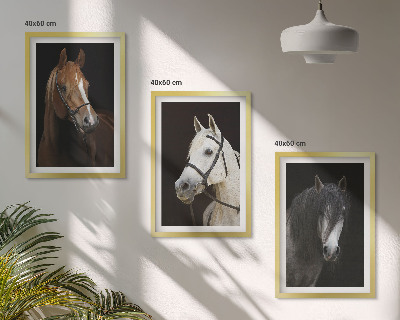 Three-piece wall art piece Portraits of horses in shades of fur