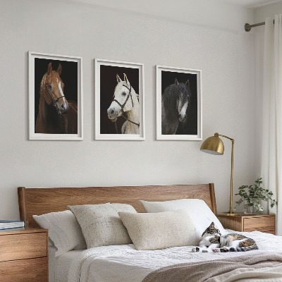 Three-piece wall art piece Portraits of horses in shades of fur