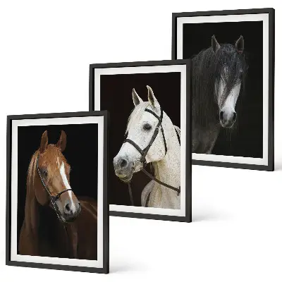 Three-piece horse portrait wall art in shades of fur