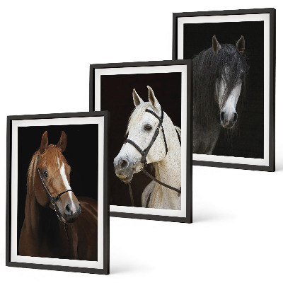 Three-piece wall art piece Portraits of horses in shades of fur