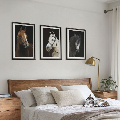 Three-piece wall art piece Portraits of horses in shades of fur