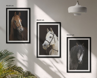 Three-piece wall art piece Portraits of horses in shades of fur