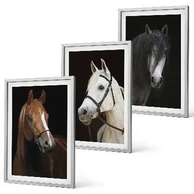 Three-piece horse portrait wall art in shades of fur