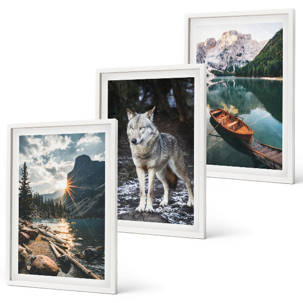 Set of 3 framed wall art pieces Mountains lakes wolf nature