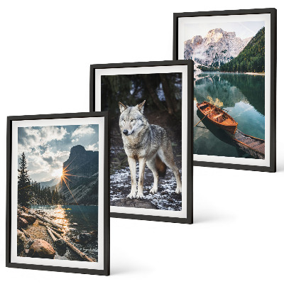 Set of 3 framed wall art pieces Mountains lakes wolf nature