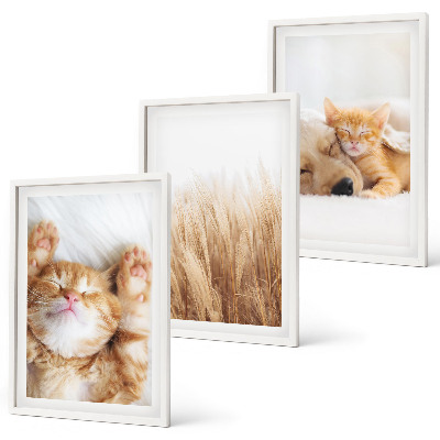 Wall art set Cute animals cats dogs boho