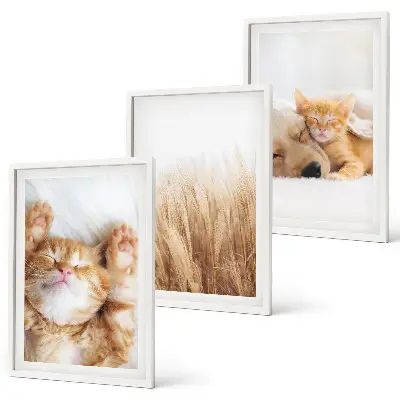 Wall art set cute cats and dogs boho style
