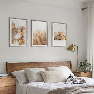 Wall art set Cute animals cats dogs boho