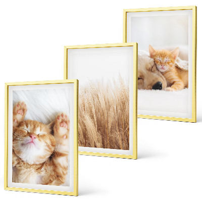 Wall art set Cute animals cats dogs boho