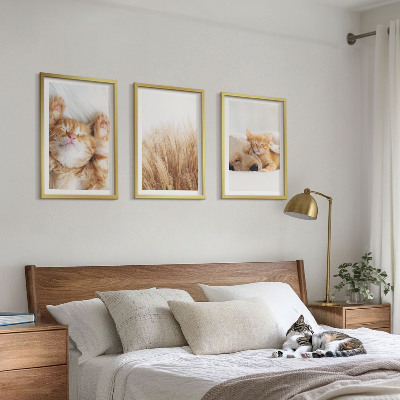 Wall art set Cute animals cats dogs boho