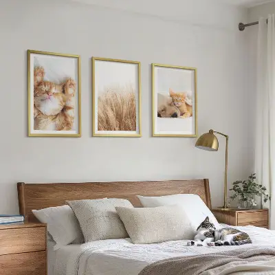 Wall art set cute cats and dogs boho style