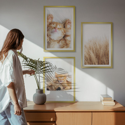 Wall art set Cute animals cats dogs boho