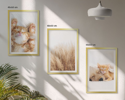 Wall art set Cute animals cats dogs boho