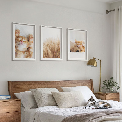Wall art set Cute animals cats dogs boho