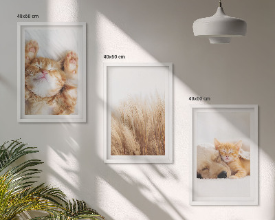 Wall art set Cute animals cats dogs boho