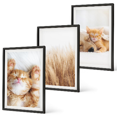 Wall art set Cute animals cats dogs boho