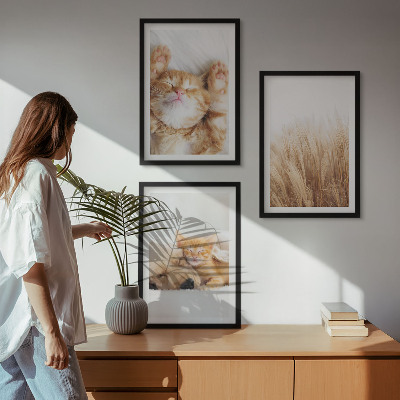 Wall art set Cute animals cats dogs boho